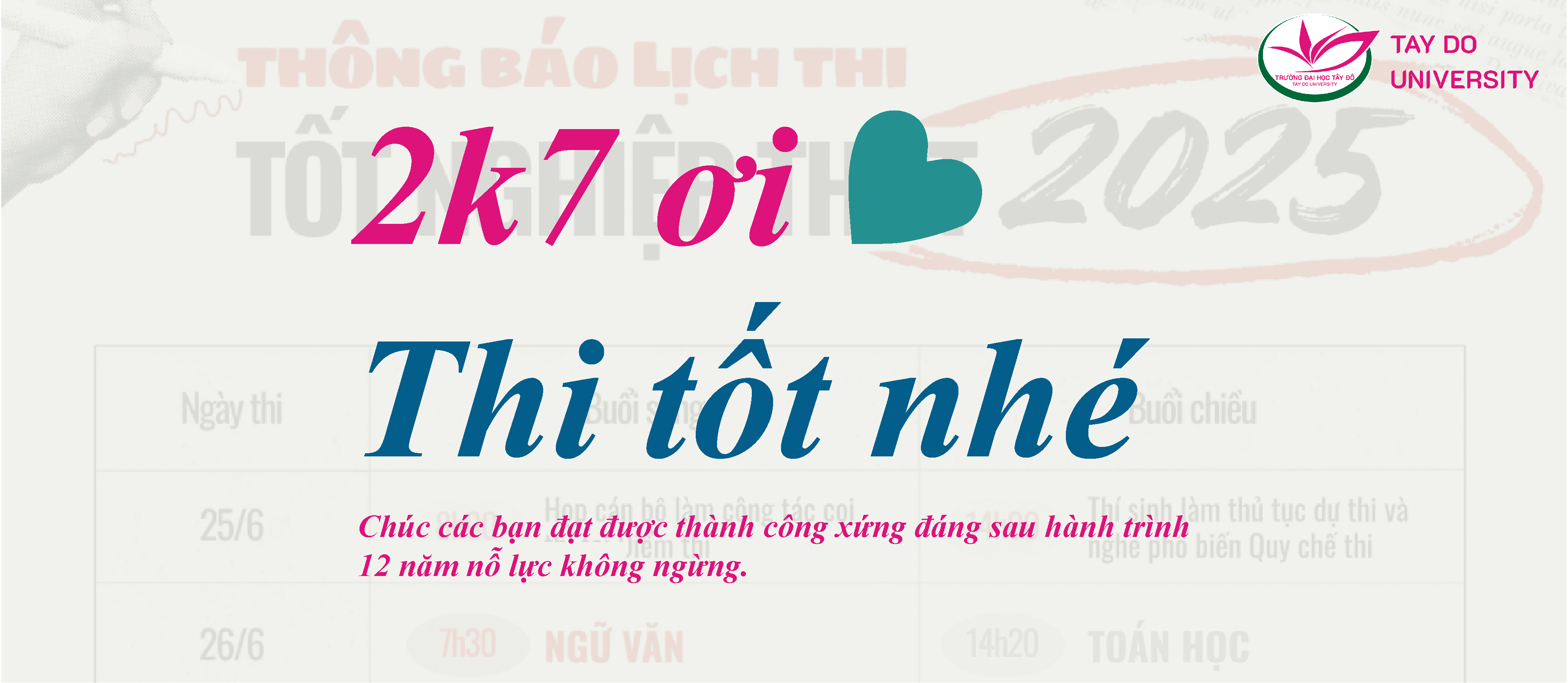 TDU banner 2