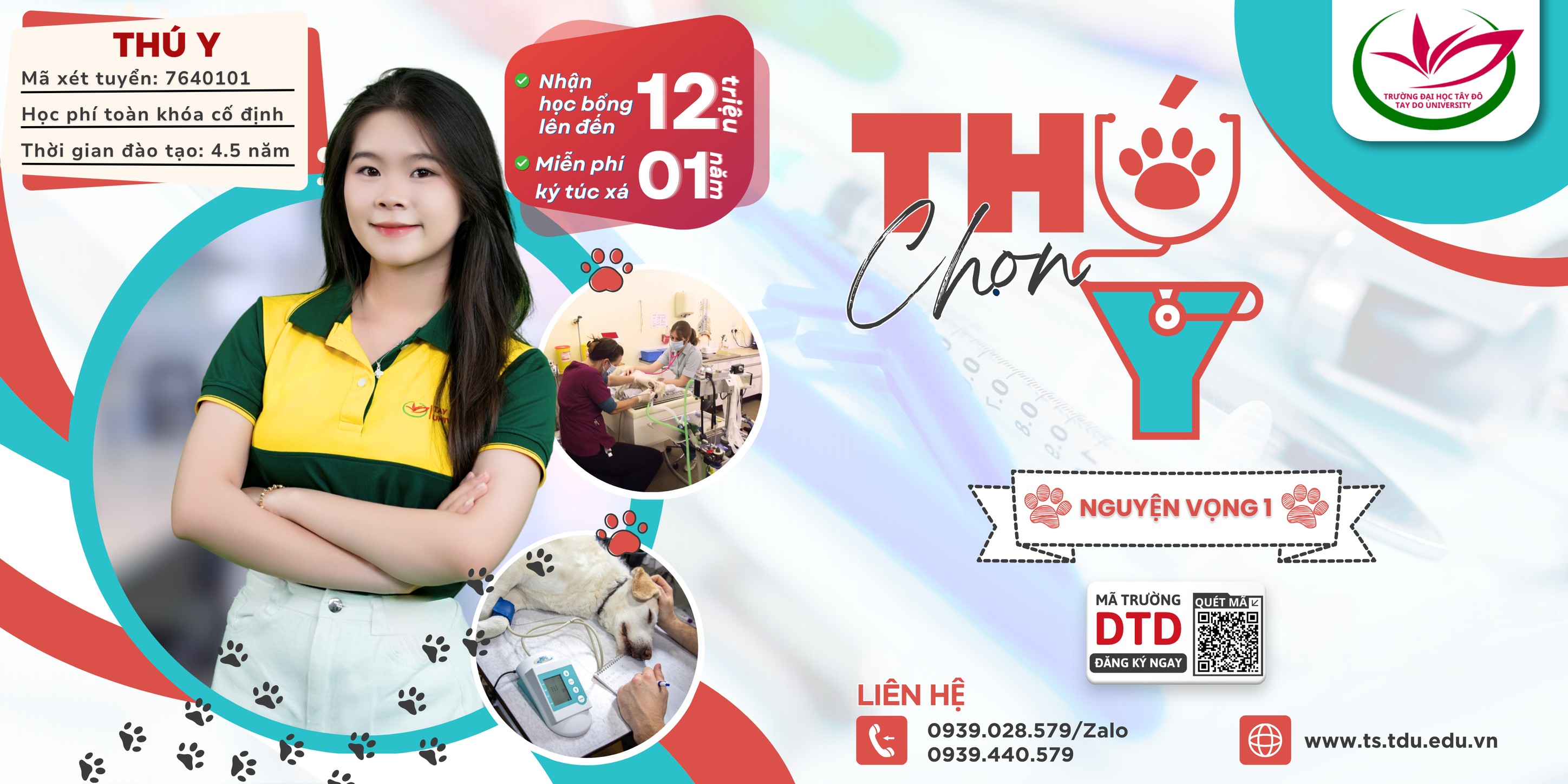 TDU banner